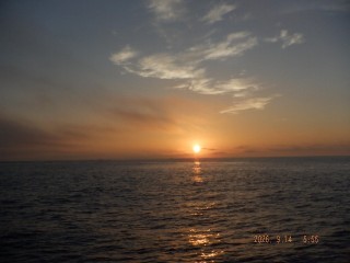 DSCF8614