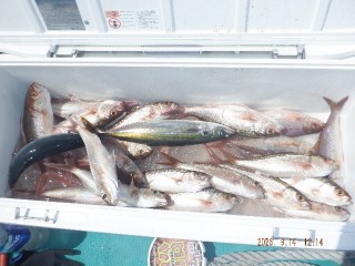DSCF8620